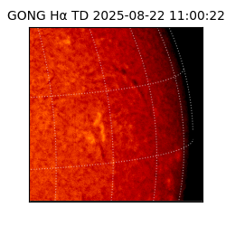 gong - 2025-08-22T11:00:22