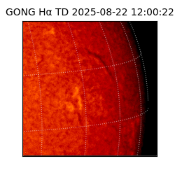 gong - 2025-08-22T12:00:22
