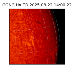 gong - 2025-08-22T14:00:22
