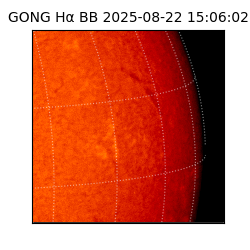 gong - 2025-08-22T15:06:02