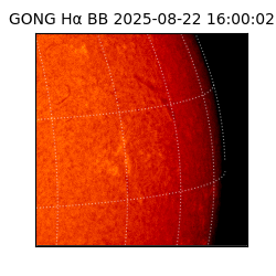 gong - 2025-08-22T16:00:02