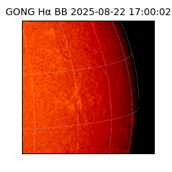 gong - 2025-08-22T17:00:02