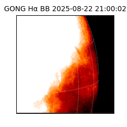 gong - 2025-08-22T21:00:02