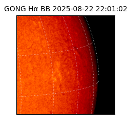 gong - 2025-08-22T22:01:02