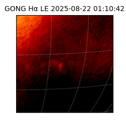 gong - 2025-08-22T01:10:42