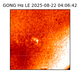 gong - 2025-08-22T04:06:42
