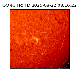 gong - 2025-08-22T08:16:22