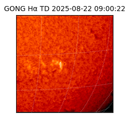 gong - 2025-08-22T09:00:22