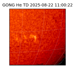gong - 2025-08-22T11:00:22