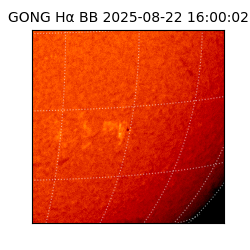gong - 2025-08-22T16:00:02