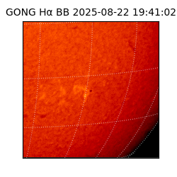 gong - 2025-08-22T19:41:02