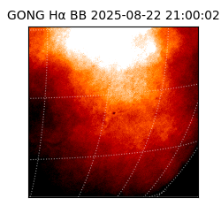 gong - 2025-08-22T21:00:02