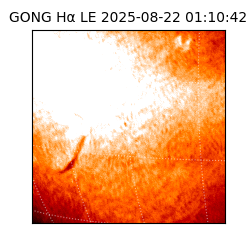gong - 2025-08-22T01:10:42