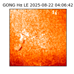 gong - 2025-08-22T04:06:42