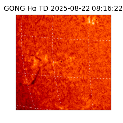 gong - 2025-08-22T08:16:22