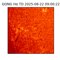 gong - 2025-08-22T09:00:22