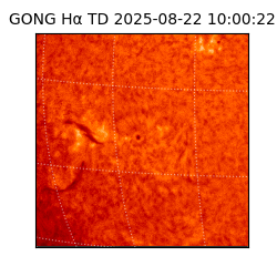 gong - 2025-08-22T10:00:22