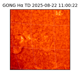 gong - 2025-08-22T11:00:22