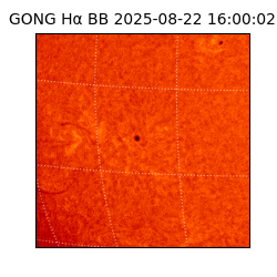 gong - 2025-08-22T16:00:02