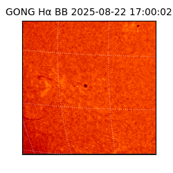 gong - 2025-08-22T17:00:02