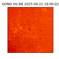 gong - 2025-08-22T18:00:02