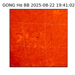 gong - 2025-08-22T19:41:02