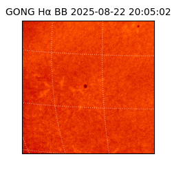 gong - 2025-08-22T20:05:02