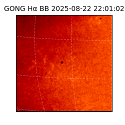 gong - 2025-08-22T22:01:02
