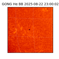 gong - 2025-08-22T23:00:02