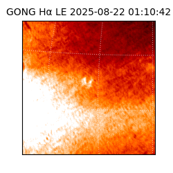 gong - 2025-08-22T01:10:42
