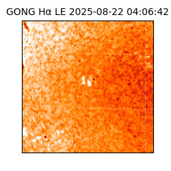 gong - 2025-08-22T04:06:42