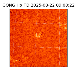 gong - 2025-08-22T09:00:22
