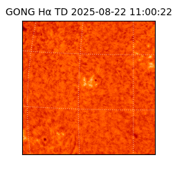 gong - 2025-08-22T11:00:22