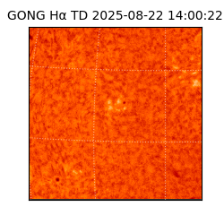 gong - 2025-08-22T14:00:22
