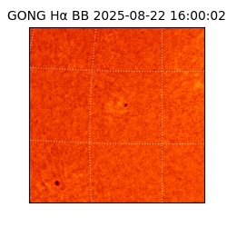 gong - 2025-08-22T16:00:02