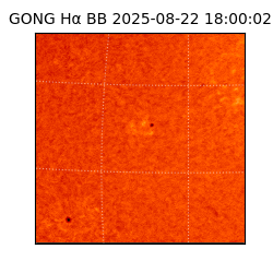 gong - 2025-08-22T18:00:02