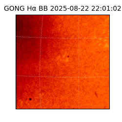 gong - 2025-08-22T22:01:02