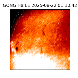 gong - 2025-08-22T01:10:42