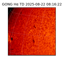 gong - 2025-08-22T08:16:22