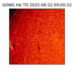 gong - 2025-08-22T09:00:22