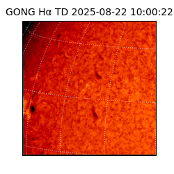 gong - 2025-08-22T10:00:22