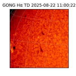 gong - 2025-08-22T11:00:22