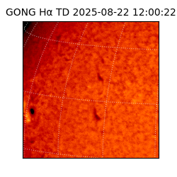 gong - 2025-08-22T12:00:22