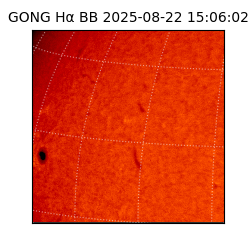 gong - 2025-08-22T15:06:02