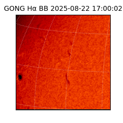 gong - 2025-08-22T17:00:02