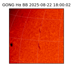 gong - 2025-08-22T18:00:02