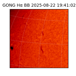 gong - 2025-08-22T19:41:02