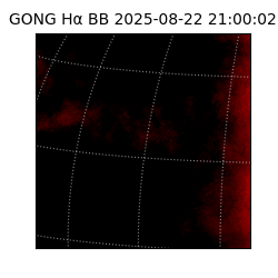 gong - 2025-08-22T21:00:02