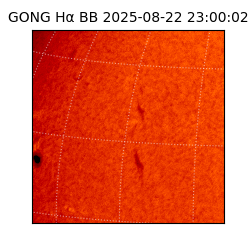 gong - 2025-08-22T23:00:02