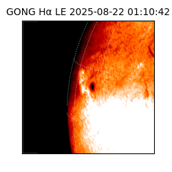 gong - 2025-08-22T01:10:42